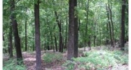 6 Doral Ln Eureka Springs, AR 72631 - Image 3891702