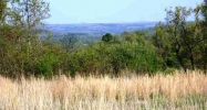 Lot 44 Swiss Alps Lane Ln Mountain Home, AR 72653 - Image 3903928