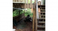 2031 Dennis Place Buford, GA 30519 - Image 3904843