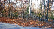 Lot 10 &amp; 11 Blackjack Trail Trl Mountain Home, AR 72653 - Image 3905311