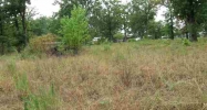 Tract 1 Or 2 Davey Lane Ln Mountain Home, AR 72653 - Image 3905321