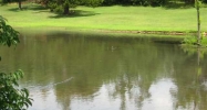 Lot 7 Spring Lake Drive Mountain Home, AR 72653 - Image 3905785