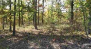 Lot 18 Rustic Ridge Drive Dr Mountain Home, AR 72653 - Image 3905786
