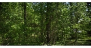 0 Embry Bend Lincoln, AL 35096 - Image 3908058