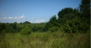 12493 Stemley Rd Lincoln, AL 35096 - Image 3908559