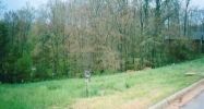 Lot 10 &amp; 11 Bruin Court Ct Mountain Home, AR 72653 - Image 3914187