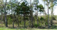 Lot 10 1st Street St Mountain Home, AR 72653 - Image 3914190