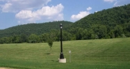 Lot 1 Plane Tree Lane Mountain Home, AR 72653 - Image 3917269