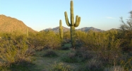 377XX N Linda Dr Cave Creek, AZ 85331 - Image 3917740