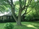 4921 E Barnett Ave Sharpsville, IN 46068 - Image 3920024