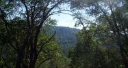10460 Harmony Ridge Road Nevada City, CA 95959 - Image 3920359