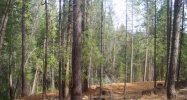 13610 Axle Court Grass Valley, CA 95945 - Image 3921891