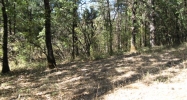 15735 You Win Court Grass Valley, CA 95945 - Image 3921894
