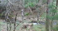 13615 Lost Lake Road Grass Valley, CA 95945 - Image 3921899
