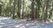 12495 Brookview Drive Grass Valley, CA 95945 - Image 3921900