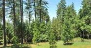 14822 Osborne Hill Road Grass Valley, CA 95945 - Image 3921903