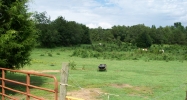 CR 3251, Clarksville, 72830 Clarksville, AR 72830 - Image 3929970