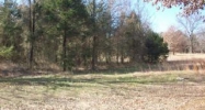 Lot #11, Rock Wall Heights Clarksville, AR 72830 - Image 3929972