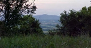 Lot 11 Gaither Mtn Estate Harrison, AR 72601 - Image 3930634