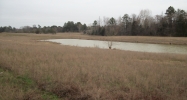 367 PR 3430 Clarksville, AR 72830 - Image 3933581