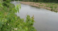 Lot 10 Pearl Landing Flippin, AR 72634 - Image 3938381