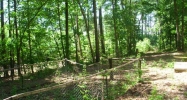 337 FRONTIER ROAD Arab, AL 35016 - Image 3943492