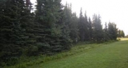 129 Bridge Access Road &amp; 97 Kenai, AK 99611 - Image 3953169