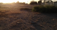 3438 S 123rd Avondale, AZ 85323 - Image 3953722