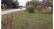 1502 W DAUGHTERY RD Lakeland, FL 33810 - Image 3965440