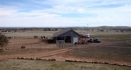 1023 Casper Lane Show Low, AZ 85901 - Image 3967080