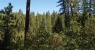 9999 Bitney Springs Rd Nevada City, CA 95959 - Image 3968552