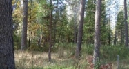 16797 Old Downieville Highway Nevada City, CA 95959 - Image 3968560
