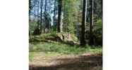 14784 Lewis Rd Nevada City, CA 95959 - Image 3968563