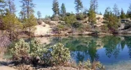 13751 Sailor Flat Rd Nevada City, CA 95959 - Image 3968574