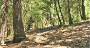 14328 Gracie Rd Nevada City, CA 95959 - Image 3968576