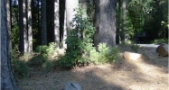 12280 Willow Creek Ln Nevada City, CA 95959 - Image 3968577