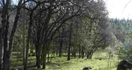 18637 Joseph Dr Grass Valley, CA 95949 - Image 3969837