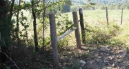 00 Hwy 201 North Clarkridge, AR 72623 - Image 3980449