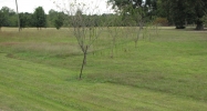 55 Bowman Road Albertville, AL 35951 - Image 3982085