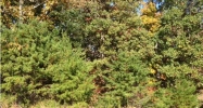 0 Darrell Dr., #13 Tuscumbia, AL 35674 - Image 3985775