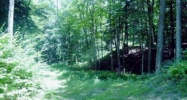 Severance Drive White River Junction, VT 05001 - Image 3991037