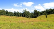 44-4400 Kukuipapa Rd Paauilo, HI 96776 - Image 3996968
