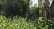 L8 Opengate Court Sterling, AK 99672 - Image 4014066