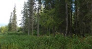 L9 Opengate Court Sterling, AK 99672 - Image 4014067