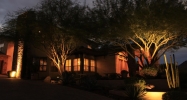11431 N 13th Terrace Phoenix, AZ 85020 - Image 4016696