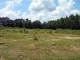 962 Austin Road Black, AL 36314 - Image 4017144