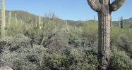 42023 N 72ND Street Cave Creek, AZ 85331 - Image 4022100