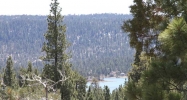 1125 Fawnskin Dr Fawnskin, CA 92333 - Image 4022898
