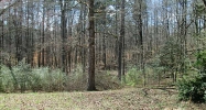 3894 Hamilton Mill Road Buford, GA 30519 - Image 4026057