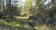 L151 Cloud Berry Loop Nikiski, AK 99635 - Image 4026518